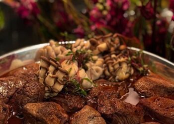 Empreendedora reconstrói empresa de gastronomia e prevê expansão